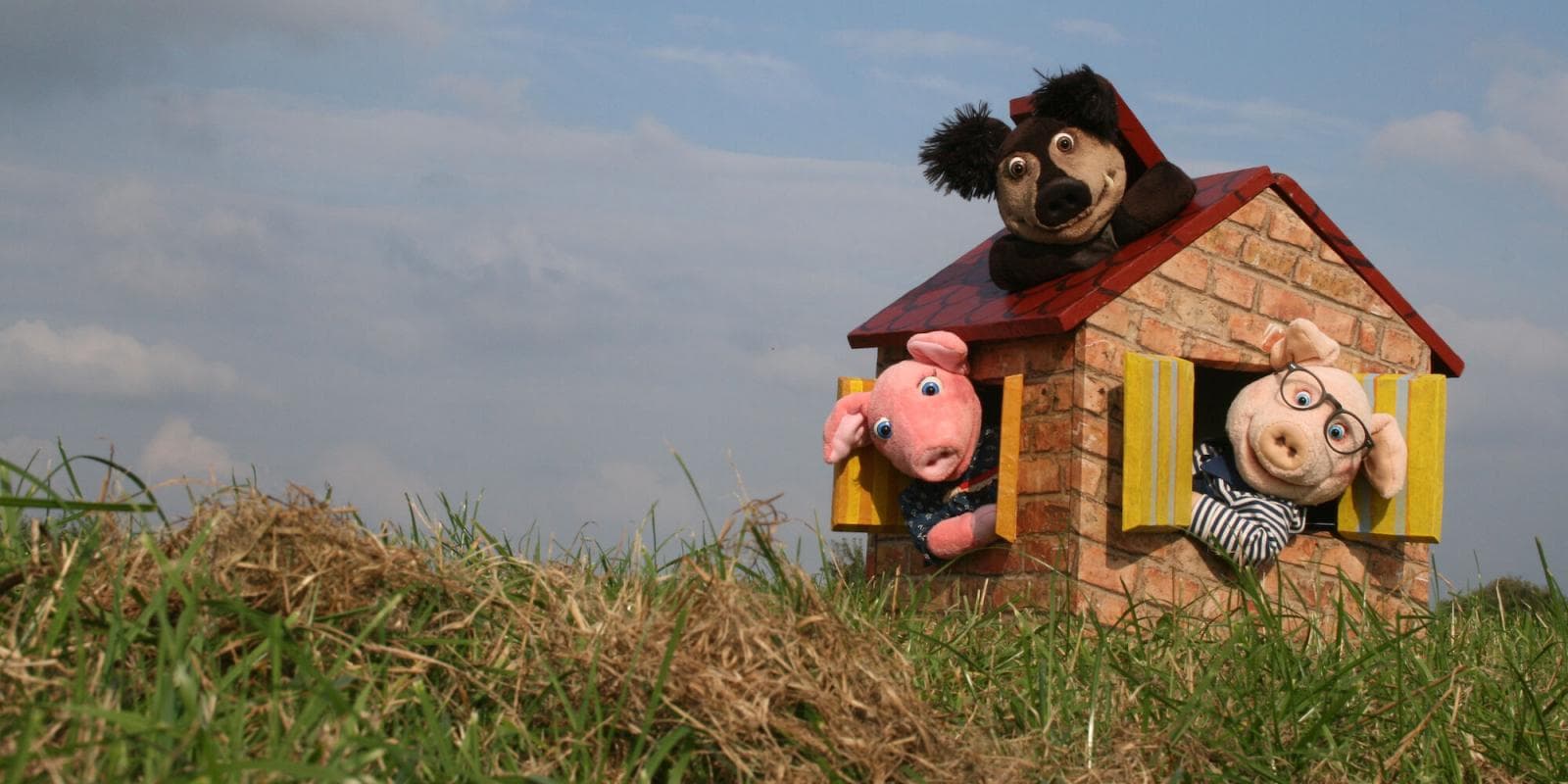 3 kleine Schweinchen und der große graue Wolf