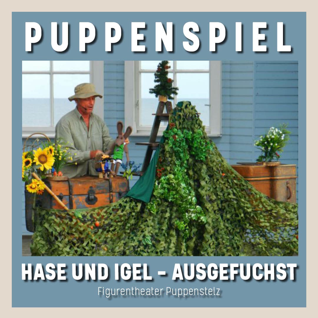 Hase und Igel - ausgefuchst
