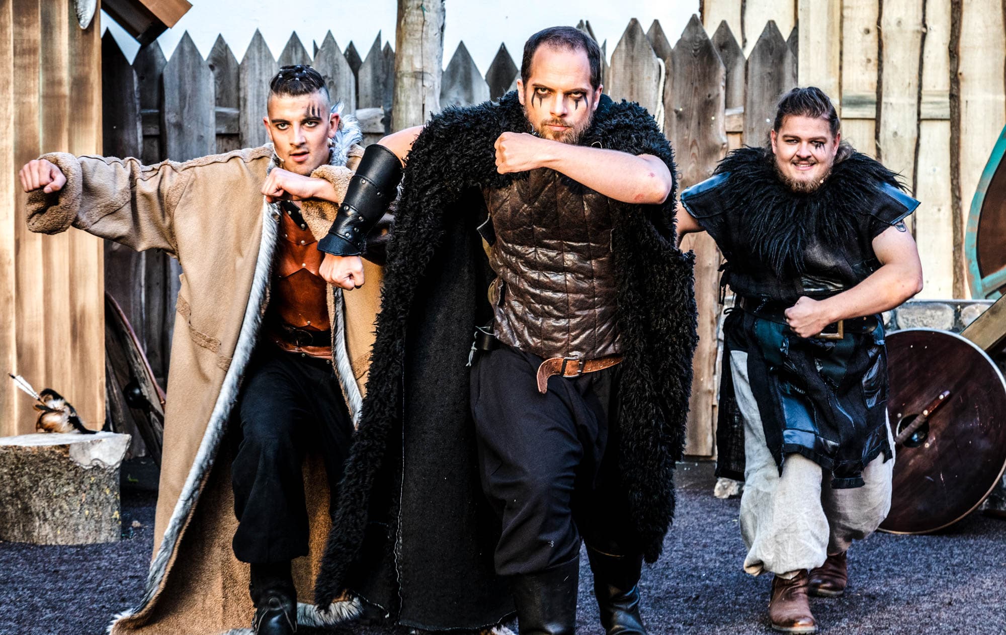 Die Wikinger kommen - Barth 2019